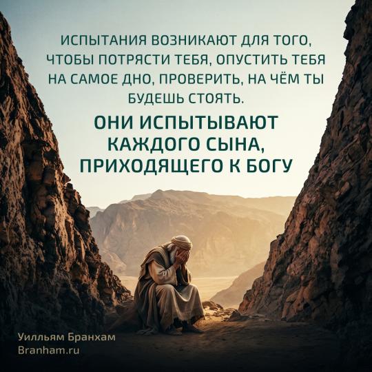 Картинка цитаты